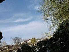 -三林塘老街