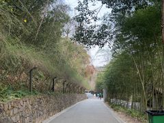 -都江堰中华大熊猫苑