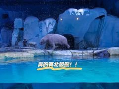 -上海海昌海洋公园