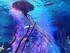 -沈阳海洋探索中心