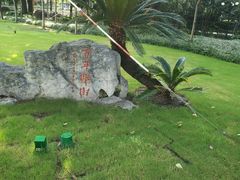 -陆家嘴中心绿地