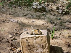 -北京张裕爱斐堡酒庄