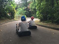 -圣淘沙天际线斜坡滑车