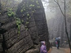 -梭布垭石林景区
