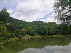 -兰山公园