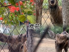 -Catail前苑(前门大街店)