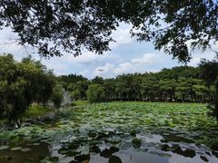 -大尖山公园