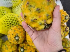 燕窝果-羊栏农贸市场(羊新路店)