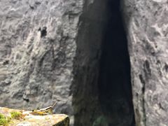 -小寨天坑