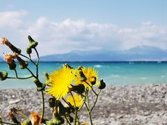 -赛里木湖风景名胜区