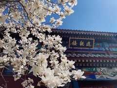 -北京颐和宾馆