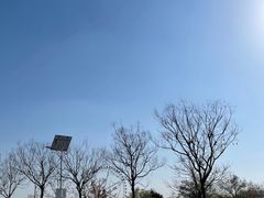 -济南国际园博园