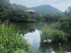 -西湖游船