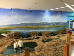 -延庆地质公园博物馆