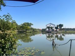 -水岸居湖景农家乐·阳澄湖大闸蟹