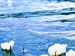 -丽江泸沽湖景区