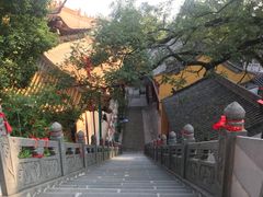 -赭山公园