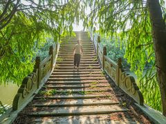 -上海海湾国家森林公园