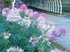 -美的鹭湖探索王国