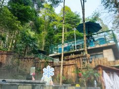 -花水湾第一村温泉大酒店