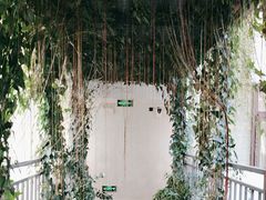 -西双版纳原始森林公园