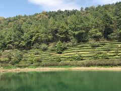 -湾里人家(旺山景区店)