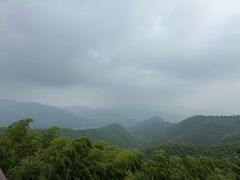 -莫干山风景区