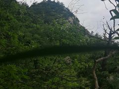 -武汉姚家山旅游景区