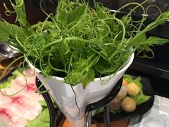 -东椰·海南椰子鸡火锅(朝阳门店)