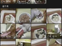 -宠物之家Pets Home 宠物寄养酒店