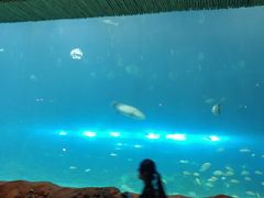 -华夏文旅西安度假区