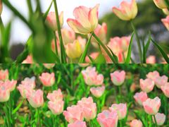 -玄武湖景区-情侣园游乐场