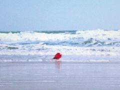 -六鳌翡翠湾滨海度假景区