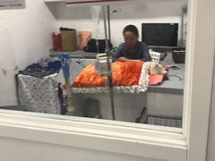 -达爱动物医院·犬猫分区·CT·复杂眼科(远洋山水分院)