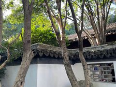 -秋霞圃