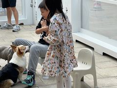 -柯斗斗主题餐厅·狗咖·围炉煮茶·茶饮(国瑞升平里店)