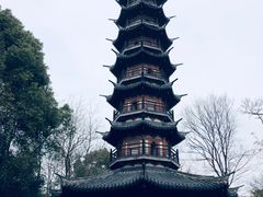 -上海佘山国家森林公园西佘山园