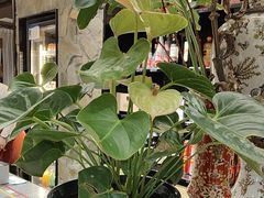 -陈熹公民族美食文化餐厅(中华广场店)