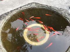 -亦缘居私家别院