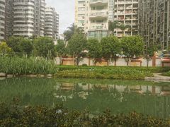-江头公园