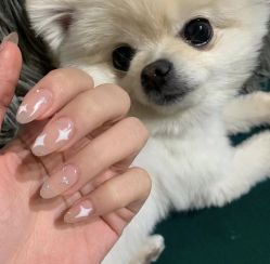 -Touch Nail·品质·美甲美睫