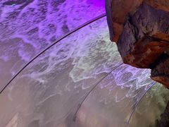 -哈尔滨波塞冬海底世界