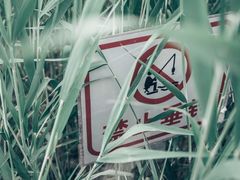-水西公园
