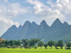 -万峰林风景区