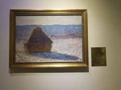 -印象莫奈时光映迹艺术展