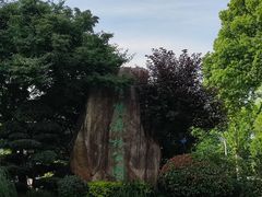 -昆山城市生态森林公园