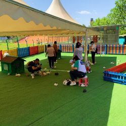 -萌宠亲子动物乐园(槐房万达店)