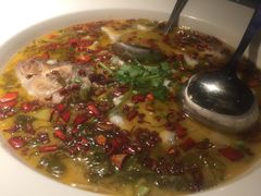 -渔见·精品川菜·老坛酸菜鱼(大朗店)