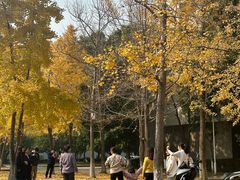 -四川大学(江安校区)