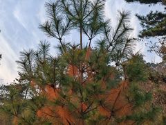 -南京金牛湖风景区